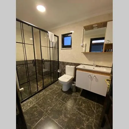 Nar Kırkpınar Villa Sapanca