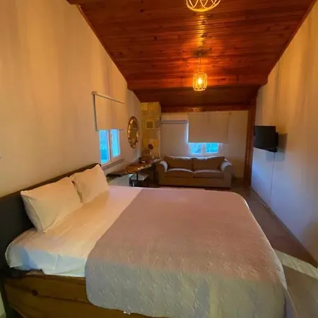 Nar Kırkpınar Villa Sapanca